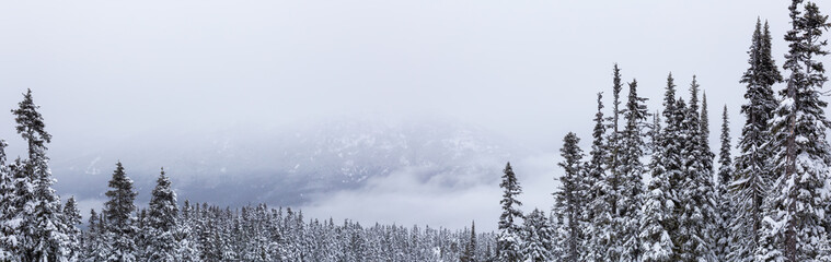 Whistler, British Columbia, Canada. Beautiful Panoramic View of the Canadian Snow Covered Mountain Landscape during a cloudy and foggy winter day.