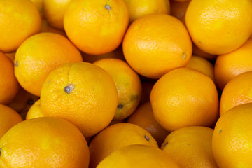 New fresh oranges for sale at the city market