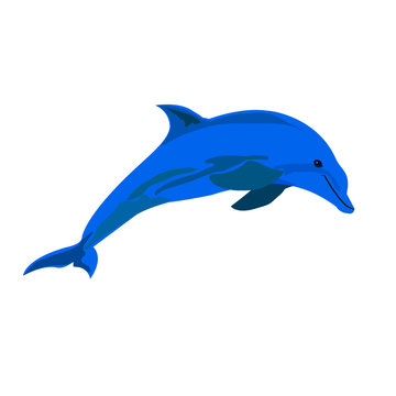 dolphins. dolphins jump out. water. Vector illustration isolated on white background.