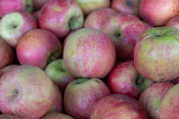 Pink Lady apples for sale at city market