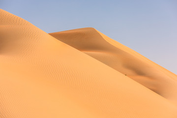Fototapeta na wymiar Abstract view of sand dunes in the desert at sunrise with a little green bush. Liwa desert, Empty Quarter, United Arab Emirates.