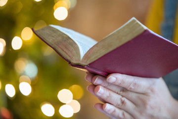 bible,women reading the Holy Bible