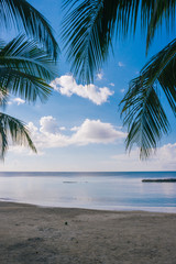 Fototapeta na wymiar caribbean beach with palms