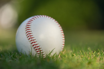 Baseball ball on the green lawn