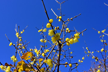 Go for a walk in the park