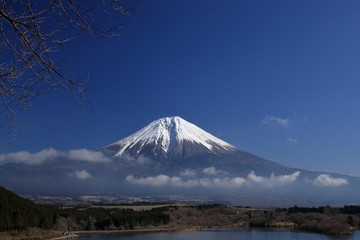 snow-covered mountains