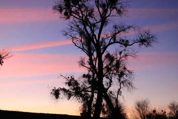 Fototapeta na wymiar California sunsets.