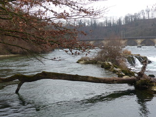 River