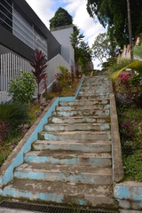 stairs in garden