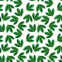 vector seamless pattern with drawing leaves