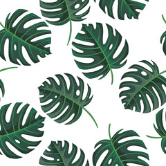 vector seamless pattern with drawing tropical leaves