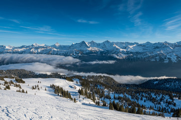 Fototapeta na wymiar view of the Bernese Alps with Eiger, Mönch and Jungfrau