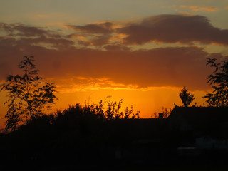 sunset over the field