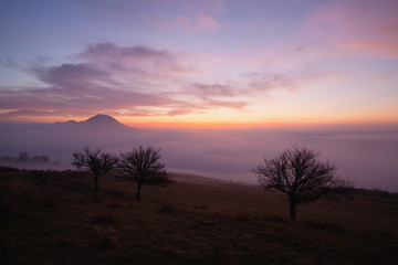Fototapeta na wymiar Misty morning in Central Bohemian Highlands, Czech Republic.