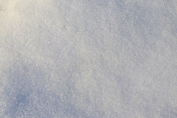 Obraz premium Texture of the white snow. Winter background