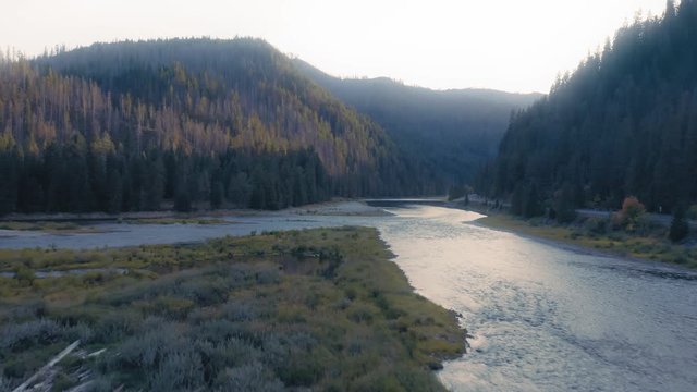 Aerial: Flying over a pine forest and river in the Nez Perce Clearwater National Forests, Idaho, USA
