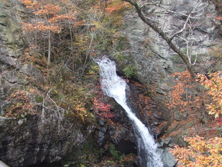 滝　紅葉