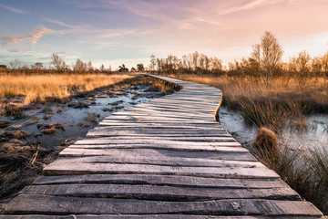 Golden hour in Limburg. Wooden pathway through national park de groote peel on the border between Limburg and North Brabant in the Netherlands. Winter landscape.