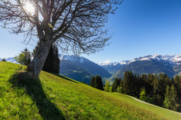 Frühlingshafte Landschaft in den Alpen