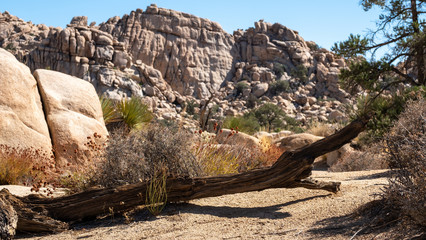 hills at Joshua tree park, california