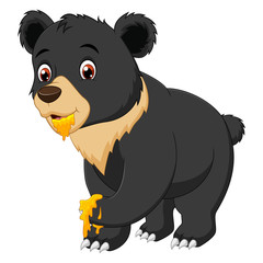  Funny bear cartoon eating sweet honey