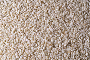 Closeup of lots of toasted sesame seeds.
