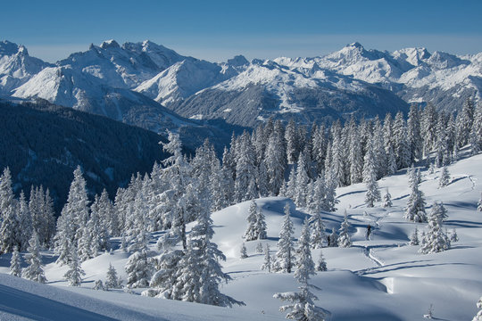 Perfekte frisch verschneite Winterlandschaft in den Alpen (Montafon / Vorarlberg / &Ouml;sterreich)