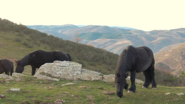 Vuelo entre monta&ntilde;as