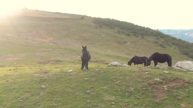 Vuelo entre monta&ntilde;as