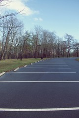 View of empty parking spots with barren winter trees and blue sky