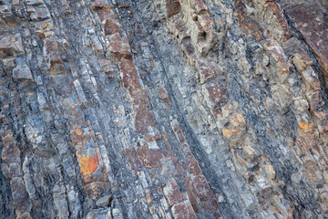 Textured Rock Background