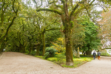 Santiago of Compostela city in Galicia province, Spain