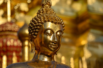 Statues de bouddha