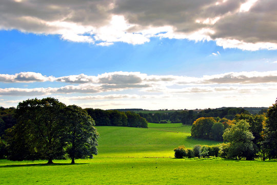 South Downs Hinton Ampner A Stately Home Near Alresford Hampshire England UK