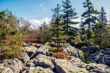 Błędne Skały © npiotr