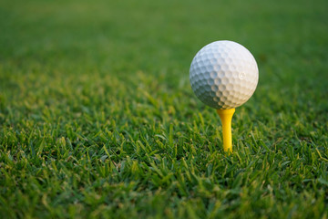 Golf ball on tee in beautiful golf course at sunset background.