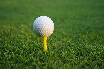 Golf ball on tee in beautiful golf course at sunset background.