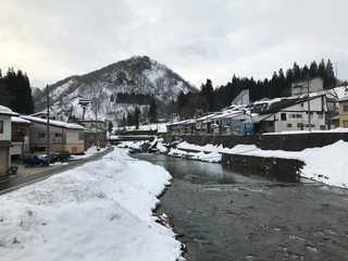 Japanese Village in Winter at Riverside