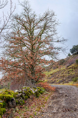  I walk the path of the Molines