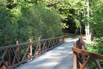 wooden bridge in the park