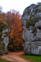 Brama krakowska, Ojc&oacute;w, Polska