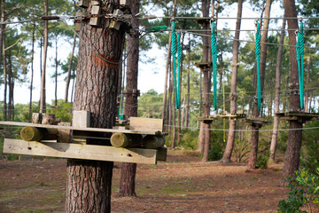 ropes tree climbing course bridge of logs adventure high wire park