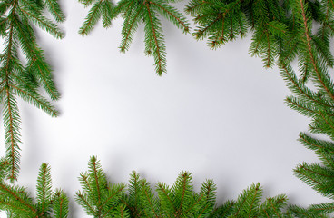 frame of fir branches on a white background. Place for text.