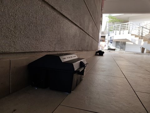 Pest Control Rat Trap Which Contains Poison Placed At Shady Area At A Office Building