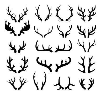 Antlers and horns set vector