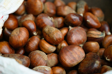 New harvest of chesnuts on market