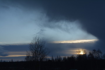 sunset in forest