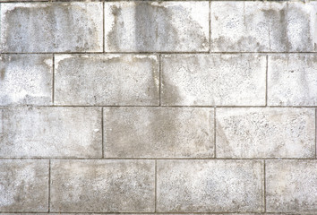 Fototapeta premium Abstract cement textured for background