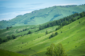 Wooded high mountains extend into the distance in taiga.