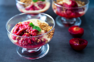 Fresh bright red plum crumble in the dessert bowl